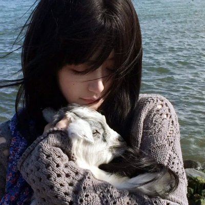 上天入海擒金匪 海报